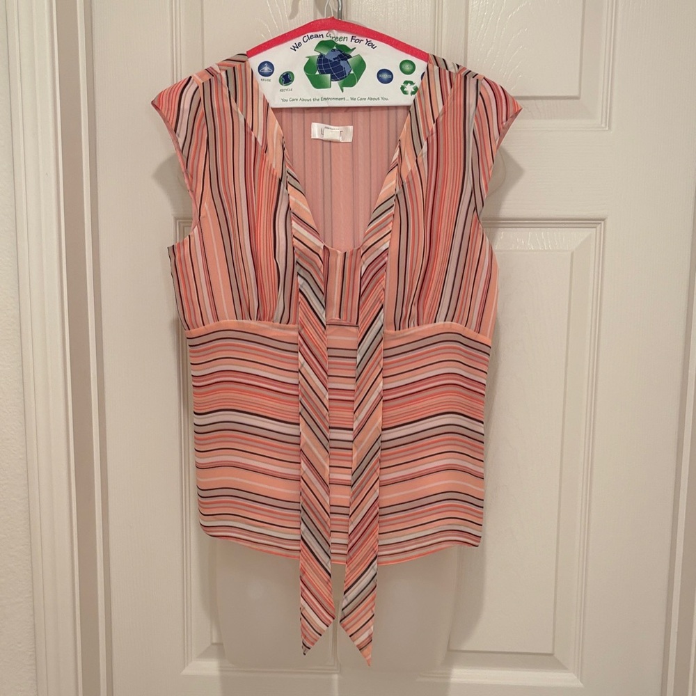Ann Taylor Factory Pink and Black Striped Blouse